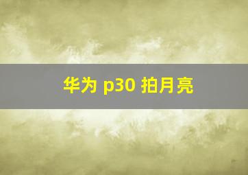 华为 p30 拍月亮